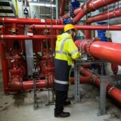 Your paragraph text (3)